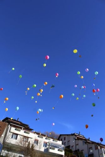 IMG_1265-427x640